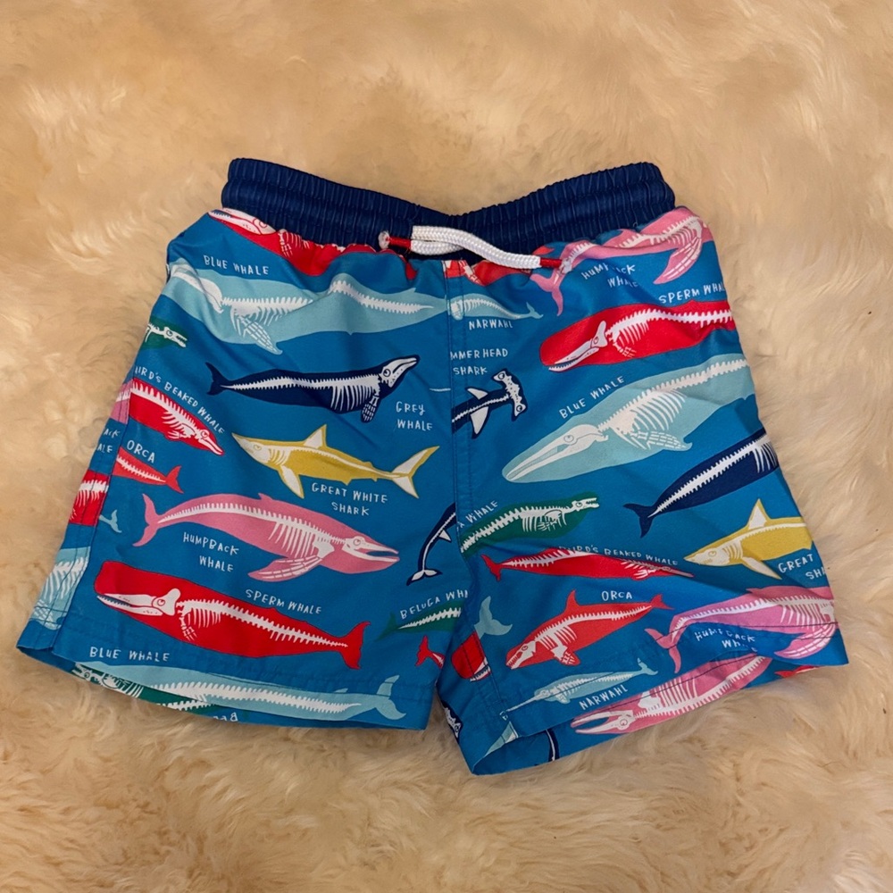 Mini Boden Blue Shark Print Kids Swim Trunks